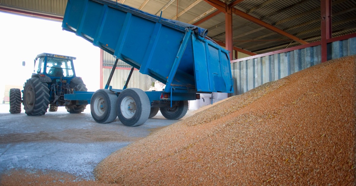 Grain being loaded or stored at a facility